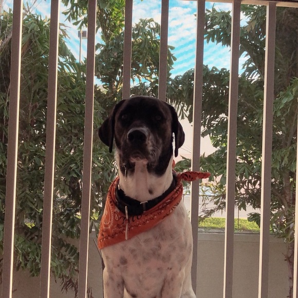 Meet your Posher, Becka - Picture 1 of 1